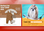 design custom facebook ads designs